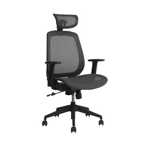 Bear ItBX`FA ֎q wbhXgt It I bLO bV`FA z`FA lԍHw GSm~NX fXN`FA p\R`FA NCjO yBackbonez