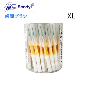 y|Cg10{zScodylԃuV 50{ 6̃TCYIׂ  a ꎕ oPAyBioneerzypzyz