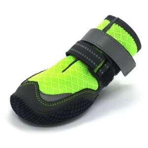 C pbVV[Y 16bV 6FIׂ 4Zbg ̌C ʌC Up ~ EȂ  hbOu[c ybgC ی y{szypzyz