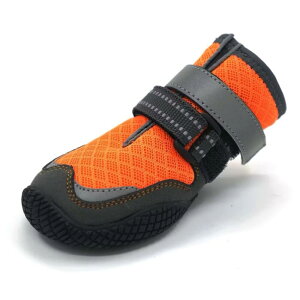 C pbVV[Y 16bV 6FIׂ 4Zbg ̌C ʌC Up ~ EȂ  hbOu[c ybgC ی y{szypzyz