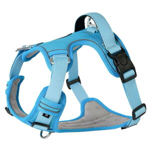 pn[lX ːih~ Ռz ~ Ȃ Ȃ  h~ ^ ^ iC  킢 ₷ ϋv gѕ֗ o  U y _炩 y