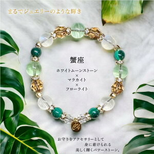  uXbg ̐  I 嶍 TCY13-17 p[Xg[  VR  XtXL[ ANZT[ a 肢 x 肢  yjizyp