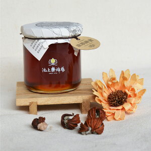 ݂͂ 267g n`~c I nj[   h{ VR Y p g[Xg zbgP[L [Og   OyVzypzyz