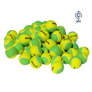 SKYMAX  ejX K {[ X|[c q SҌ Rg[ 60y{z