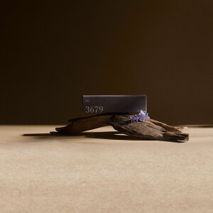  30{Mtg{bNX  A}  VRf 荁 ґzp p  p No.3679ypz