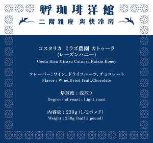 R[q[ RrA sNu{ / RX^J JgD[ / G`IsA VLb\ / G`IsA AxSi 200g  [Xg VOIW  蓤 R[q[ yFU CAFEz