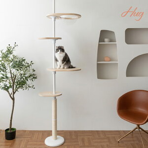 Lbg^[ Gg[^Cv 220-270cm ς FD ؐ  ~ ܂Ƃ L^[ ؓo^[ RpNg X ȃXy[X Vv  Q rOyHug?