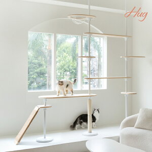 Lbg^[ Gg[g^Cv 220-270cm ς FD ؐ  ~ ܂Ƃ L^[ ؓo^[ RpNg X ȃXy[X Vv  Q rOyHug