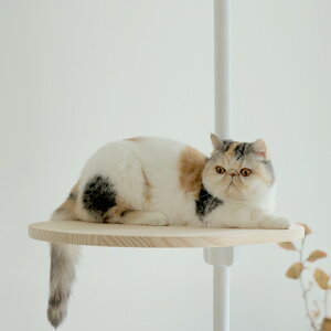 ؐ Xebv  /  /  EbhXebv LbgXebv LbgEH[N Lbg^[ ANZT[ Vv  Q rOyHugLzypzy