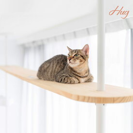 木製 キャットウォーク 110cm / 210cm ウッドステップ キャットステップ キャットタワー アクセサリー シンプル おしゃれ 寝室 リビング【Hug抱抱猫跳台】【台湾直送】
