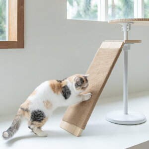 ؐ ܂ƂX[v ܂Ƃ EbhXebv LbgXebv LbgEH[N Lbg^[ ANZT[ Vv  Q rOyHug?zypzyz