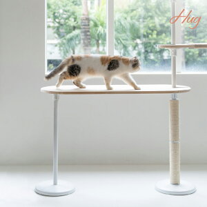 ؐ [NfXN EbhXebv LbgXebv LbgEH[N Lbg^[ ANZT[ Vv  Q rOyHugLzypzyz