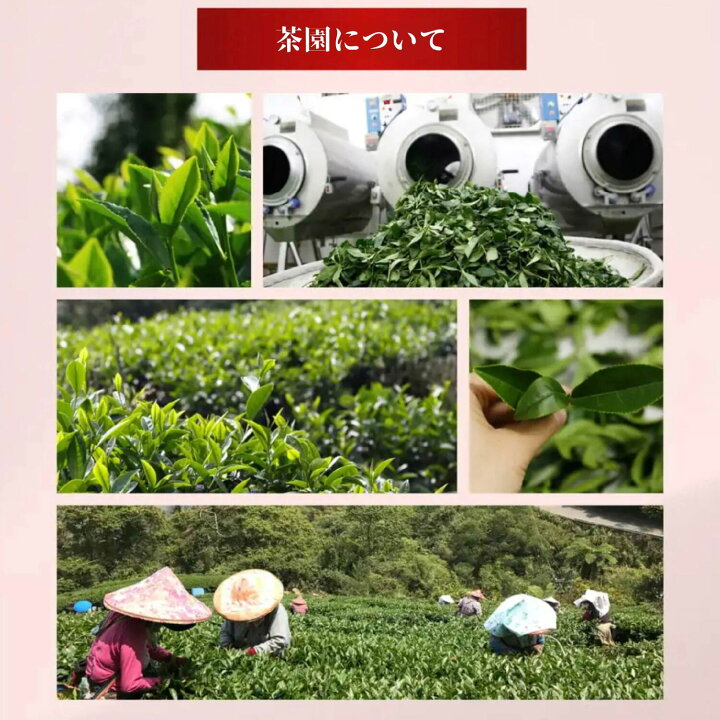 楽天市場】台湾 梨山華岡五区 高山烏龍茶 75g×2袋 セット ギフト 