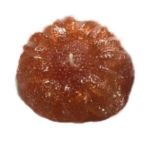 Lh 7F 4 n[g / o /  / Ђ܂ 낤 XC E\N  킢 v[g ObY CeA G݁yىʔ_ƐZLizypzy