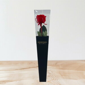 vU[uht[ [Y M 50cm 1{ t[  o KN ͂Ȃ { j a LO  v[g Mtg 蕨 l  ޏ   yKokobotaniczypzy