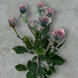 vU[uht[ [Y ~j 50cm { Of[V t[  o KN ͂Ȃ j a LO v[g Mtg 蕨 l  ޏ   yKokobotaniczyp