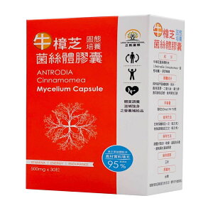 ŋێ JvZ 30 500mg  xjNXmL^P gey Tv Tvg VR  h{ YyMہzypzyz