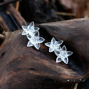 NA t[ [t sAX CO S[h Vo[  t t i l  킢 Vv ig JWA ANZT[ fB[XyHINnizy