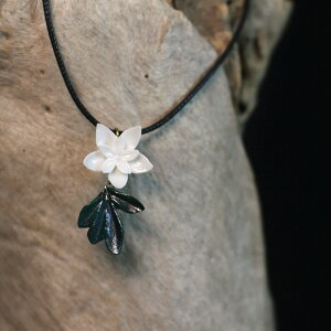 NA t[ [t lbNX S[h Vo[  t t i l  킢 Vv ig JWA ANZT[ fB[XyHINnizyp