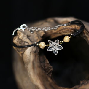 NA t[ [t uXbg S[h Vo[  t t i l  킢 Vv ig JWA ANZT[ fB[XyHINnizyp