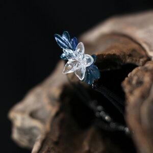 NA t[ [t uXbg S[h Vo[  t t i l  킢 Vv ig JWA ANZT[ fB[XyHINnizyp