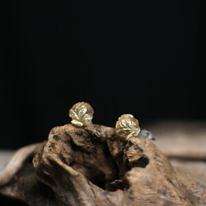 Q sAX S[h Vo[  r[Y i l  킢 Vv ig JWA ANZT[ fB[XyHINnizypzyz