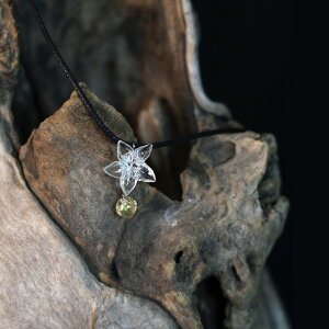 Q lbNX S[h Vo[  r[Y i l  킢 Vv ig JWA ANZT[ fB[XyHINnizypzyz