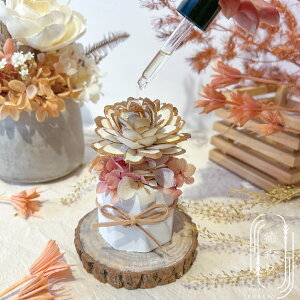 fBt[U[ vU[uh ̏ t[WA̍ A}  CeA  ԃMtg Mtg v[g a  蕨 tOX ԁymydearstrawberrieszyp
