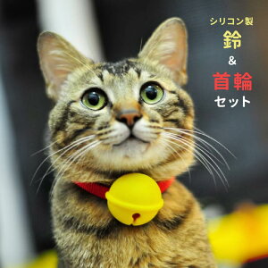   Zbg q qD qh~   h 킢 Vv y VR [yъjq Nuke pet designzypzyz