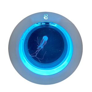 �A�N�A���E�� ���� ������ 2L 20x8x20cm Ocean Space O mini �A�N���� ����Ȃ� �ې��� �N���Q �y�b�g �y�b�g�p�i ��� ���� ���� �C���e���A ���� ���� ������� ��y �y�C�m��ԁz�y��p�����z�y����