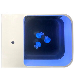ANAE   18L 40x20x30cm Ocean Space DS18 AN Ȃ NQ ybg ybgpi    CeA    y yCmԁzypzyz