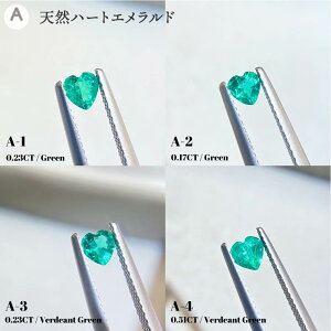 Gh / t@V[J[Tt@CA Xg[ S12 t@V[Tt@CA 5 a VR p[Xg[ ANZT[yQueen Homezypzyz