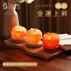 ローズ ソルトランプ 3種 金運 岩塩ランプ ヒマラヤ岩塩 ピンク岩塩 ピンクソルト ロックソルト ナイトライト E12 白熱電球 台座 置物 目に優しい 浄化 癒し 風水 リラックス インテリア【台湾直送】【送料無料】