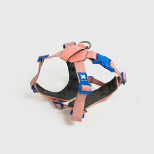 y|Cg20{z n[lX / [h / v[vobO|[`   C Ȃ SȂ bV {v obN y 􂦂 \tg ybgU JWA  킢 J