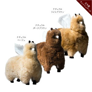 ApJ eBbVP[X 2 3J[ 2TCY ApJ100  nhCh y[ AfX CeA u ӂӂ  eBbVJo[yST.MALOzypzy