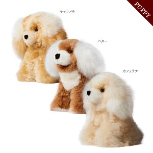  Ђ q L[z_[ / ʂ ApJ 100  nhCh y[ AfX obO `[ L[`F[ CeA u ӂӂyST.MALOzypzy