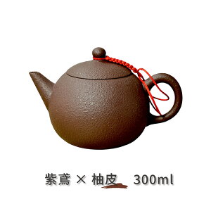 丸型急須・直注式|300ml|台湾茶器|職人製作・注ぎやすい一人用急須【日本直送】