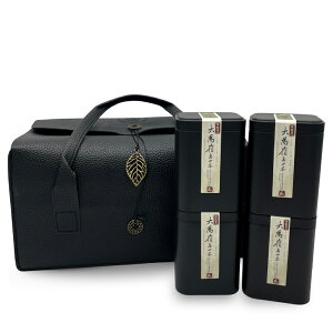 y|Cg20{zV_ Z100K p RE[@҂݃Mtg/U[񂰑ܕtyTIANSHENz