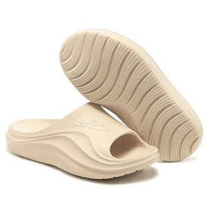 y|Cg10{ze͐ GAXbp _炩 bNX y₩ L NbV BAL5623yS5Fzyjpzysqk̓Xzypz