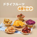 ドライフルーツ 100g×6種 セット マンゴー / いちご / レッドグアバ / パイナップル / オレンジ / ドラゴンフルーツ砂糖不使用 甘さ控えめ ヘルシー 無着色 無添加 天然 お菓子 おやつ チャック アソート 食べ比べ 詰め合わせ【堅果大叔】【台湾直送】【送料無料】