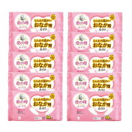 【10袋】小林製薬 命の母 カイロ 貼るタイプ じんわり温かい おなか用カイロ 10枚入 huyu