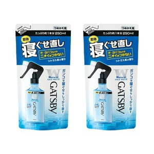 y2܁z}_ Mcr[ GATSBY QEH[^[ l֗p 250ml wAX^CO j