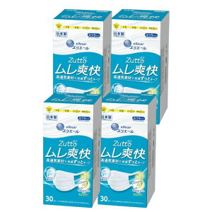 y4v120z剤 GG[ nCp[ubN}XN u ӂTCY 30