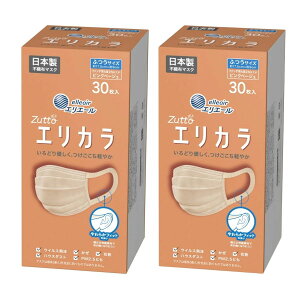 y2v60z剤 nCp[ubN}XN GJ sNx[W ӂTCY 30