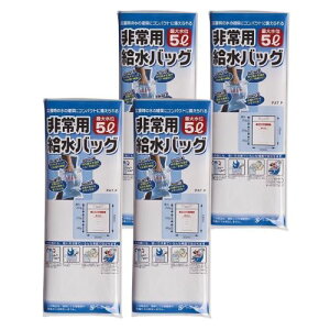 �y4�z���p�����o�b�O5L�p 1P A-1358