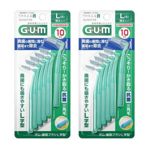 y2v20{zTX^[ GUM K ԃuV L^ LTCY 10{ ɑ^Cv