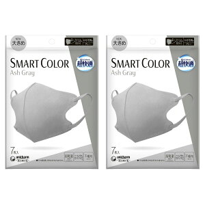 yZ[izy2܌v14zj`[ K SMART COLOR X}[gJ[ AbVOC 傫 7 2c200