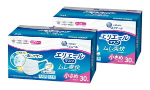 �y2��60���z�剤���� �G���G�[���}�X�N �����u�� �����߃T�C�Y 30����