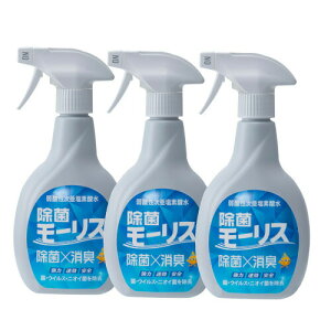 y3zXFʏ _f_ ۃ[X Xv[^Cv 400ml {