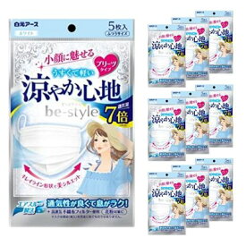 【10袋計50枚】白元アース ビースタイル プリーツタイプ 涼やか心地 ホワイト 5枚入